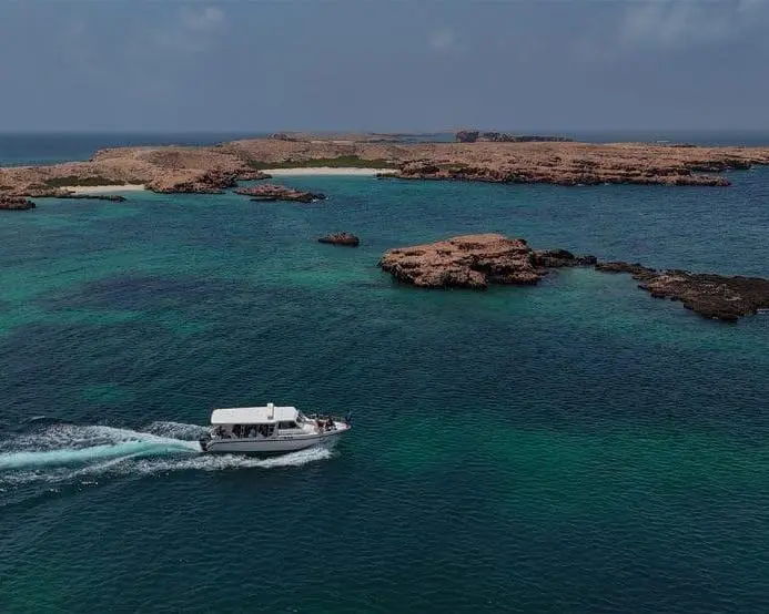 Dimaniyat Island Cruise