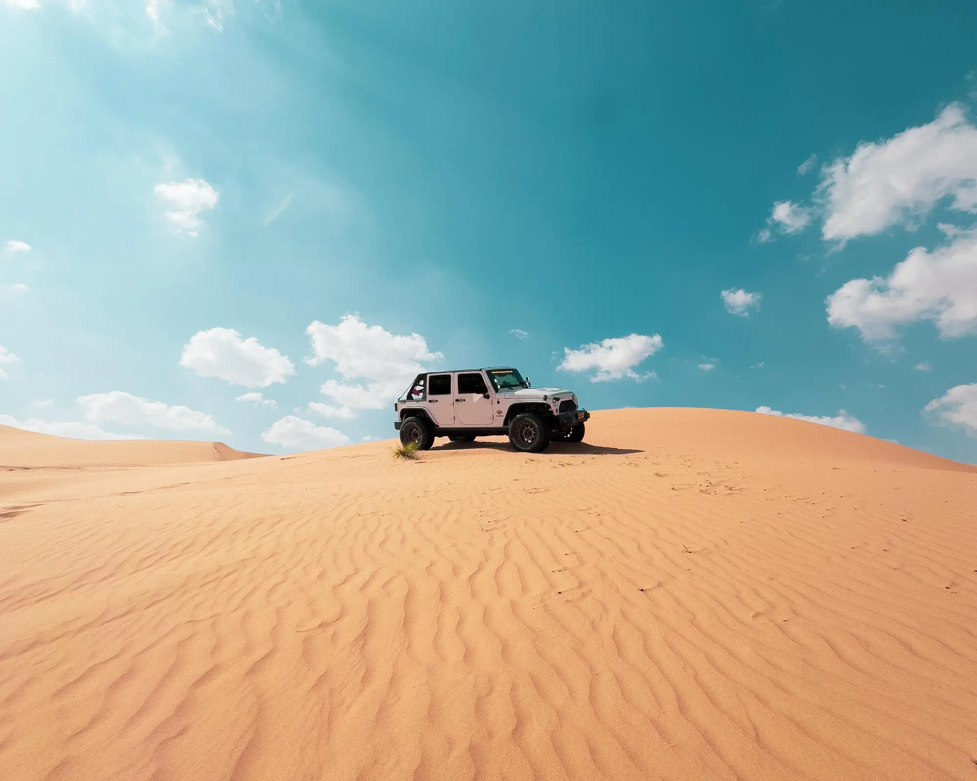 Desert Expedition