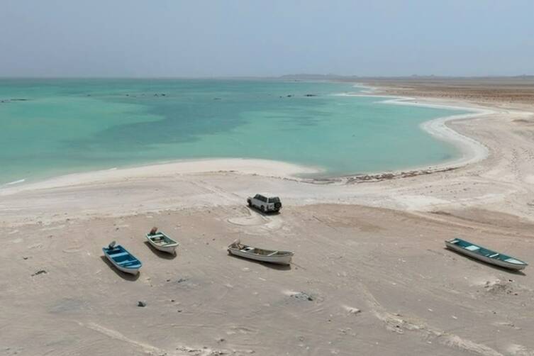 Environment Authority Begins Coastal Ecosystem Surveys in Masirah | Oman Climate Week Environment Authority Begins Coastal Ecosystem Surveys in Masirah